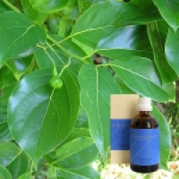 Торф, розмарин в оливковій олії Rosmarin-Torf-l, 100 ml