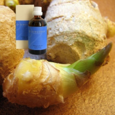 Масло Имбирь в оливковом масле Demeter Zingiber aeth. 10 % in -Olivenl 