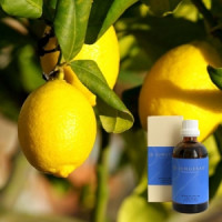 Лимон в оливковій олії Demeter Citrus aeth. 10% in Olivenl, 100 ml